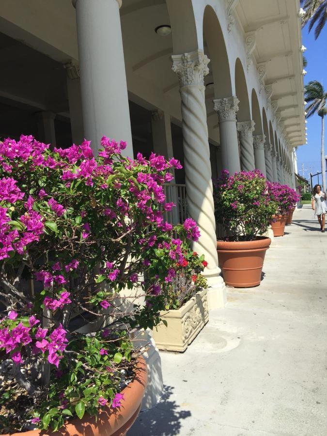 Hemingway Suites At Palm Beach Hotel Island Exterior foto